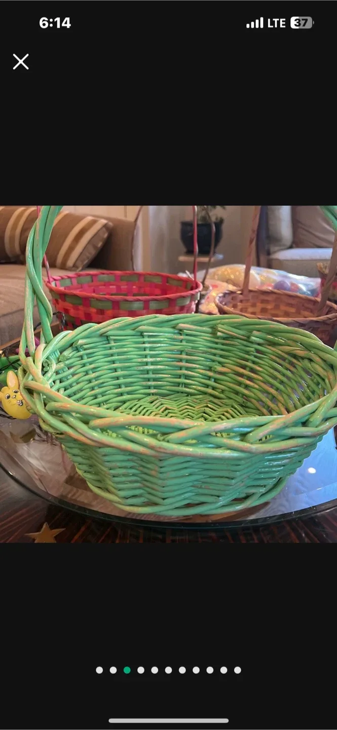 Easter Baskets & Egg Hunt Supplies image indicator(2)