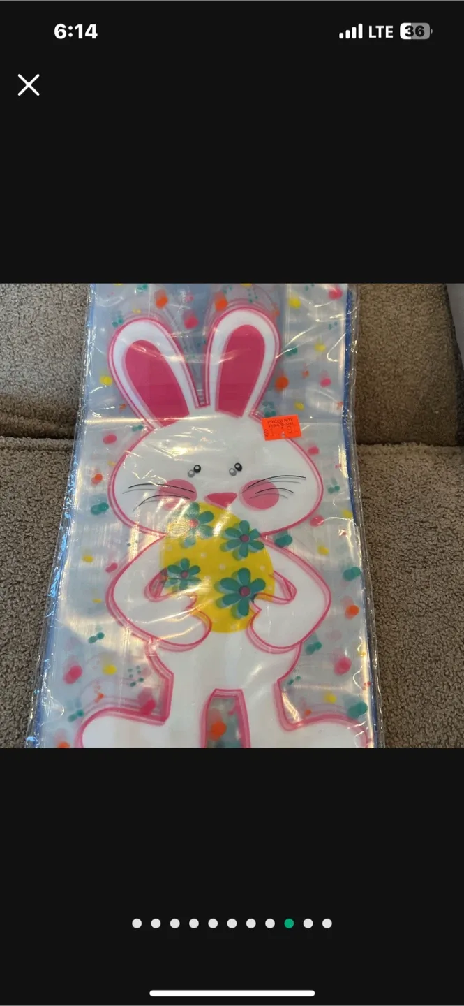 Easter Baskets & Egg Hunt Supplies image indicator(5)