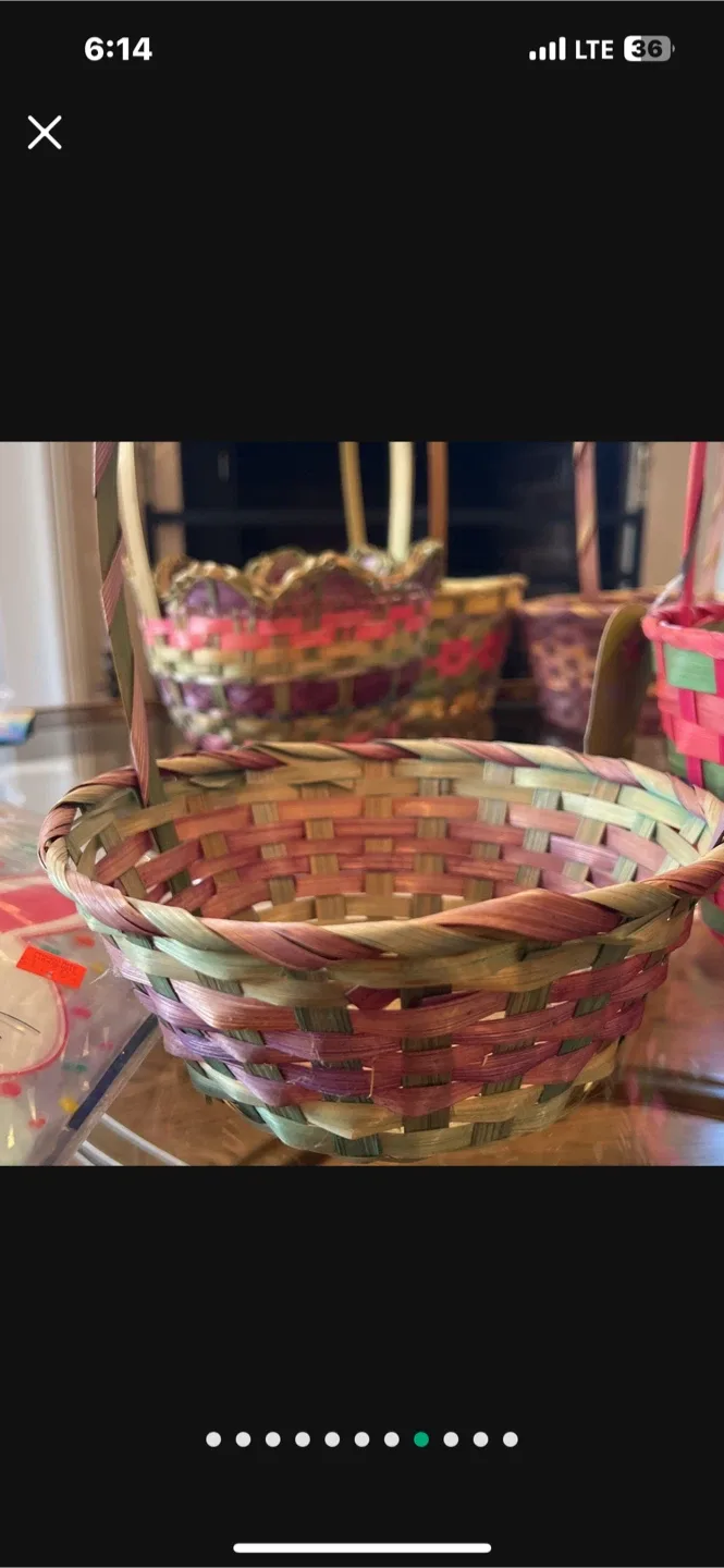 Easter Baskets & Egg Hunt Supplies image indicator(10)
