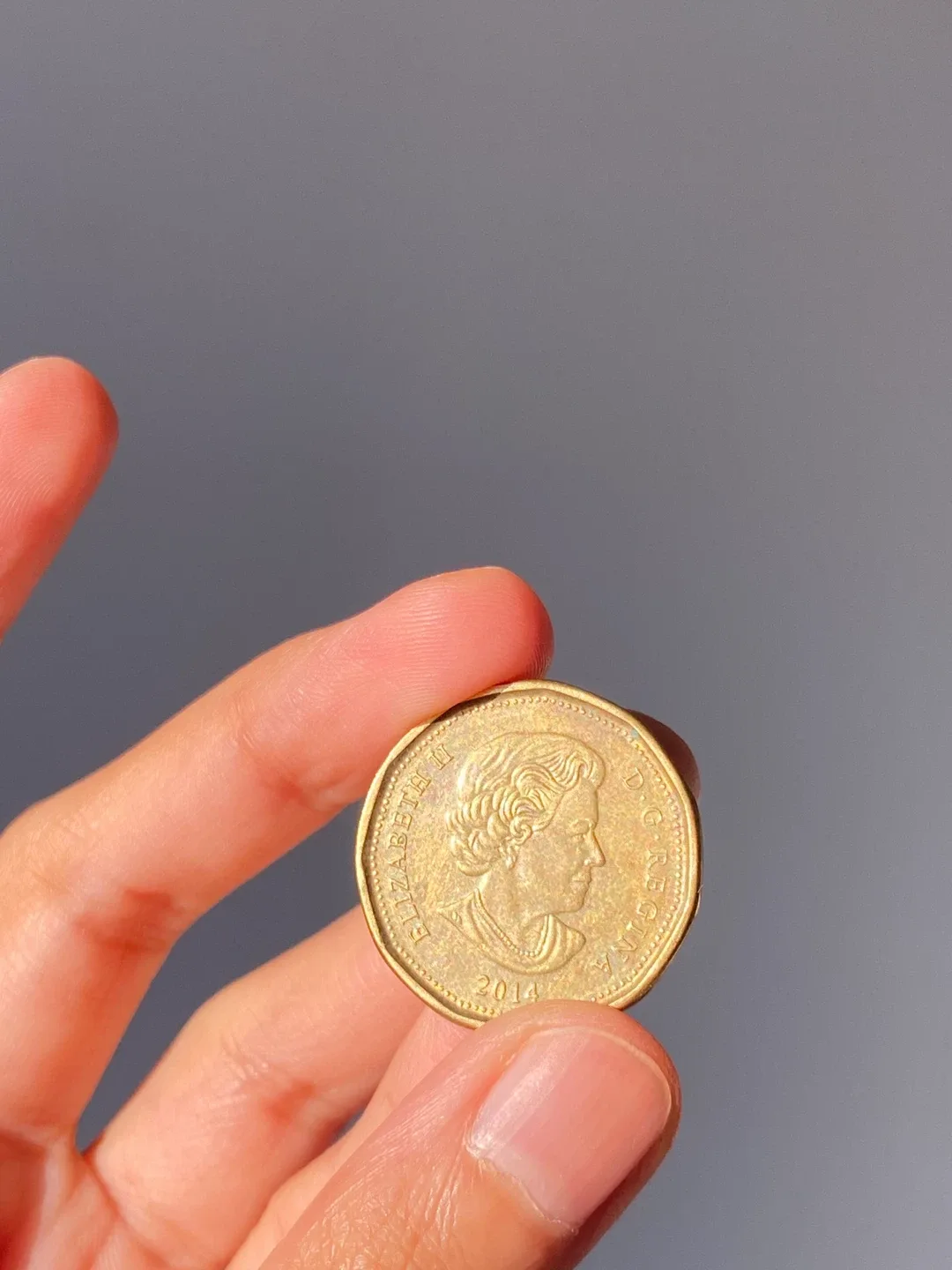 2014 Canadian Olympics Lucky Loonie image indicator(2)