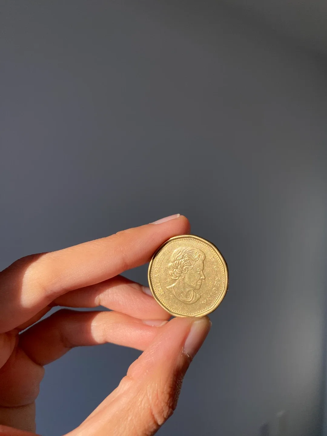 100th Anniversary of Toronto Maple Leafs Loonie image indicator(2)