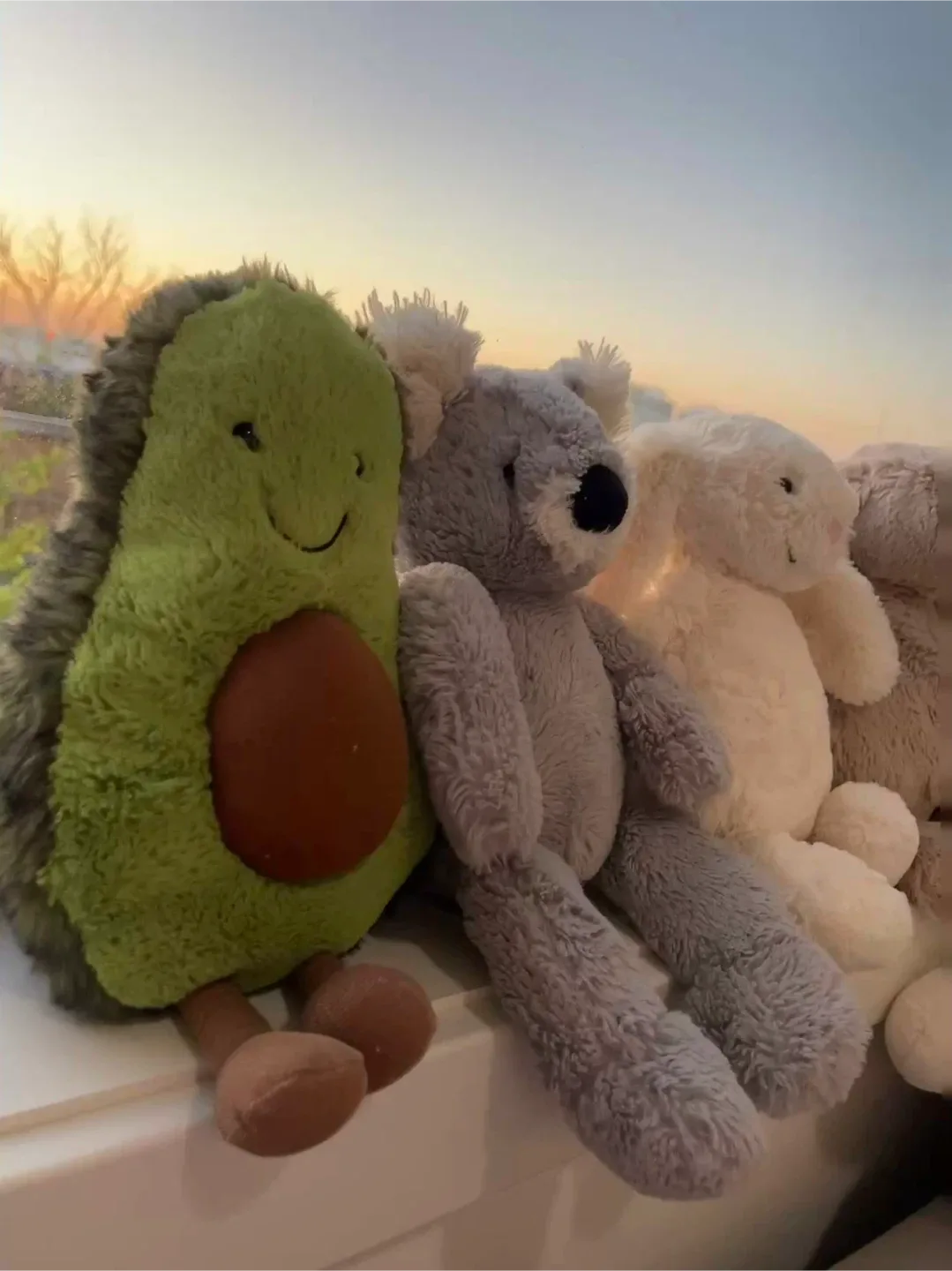 Jellycat Koala Plush Toy image indicator(7)