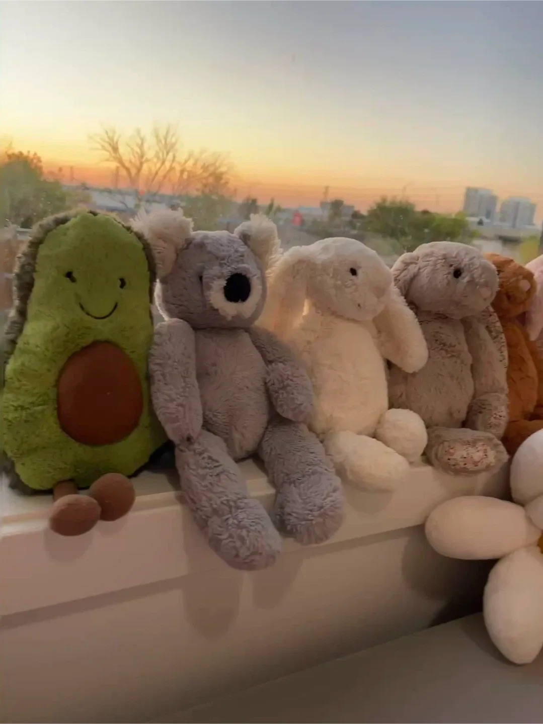 Jellycat Koala Plush Toy image indicator(8)