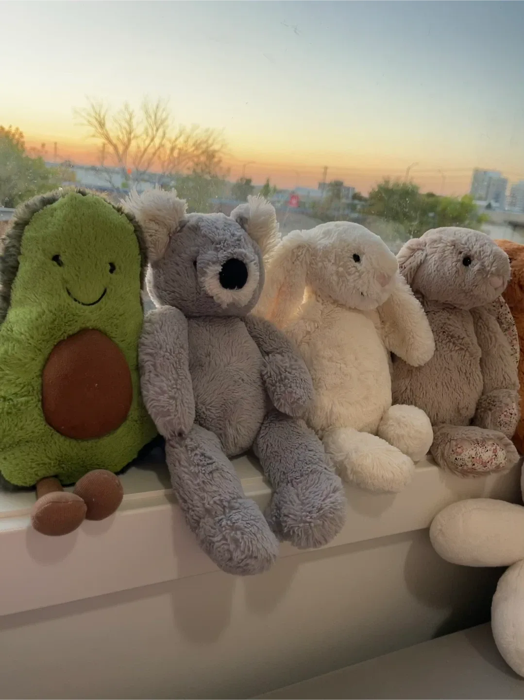 Jellycat Koala Plush Toy image indicator(9)