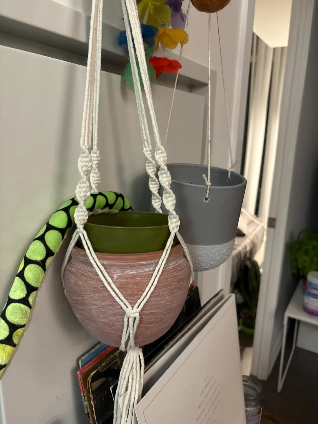 Macrame Plant Hanger with Pots image indicator(3)