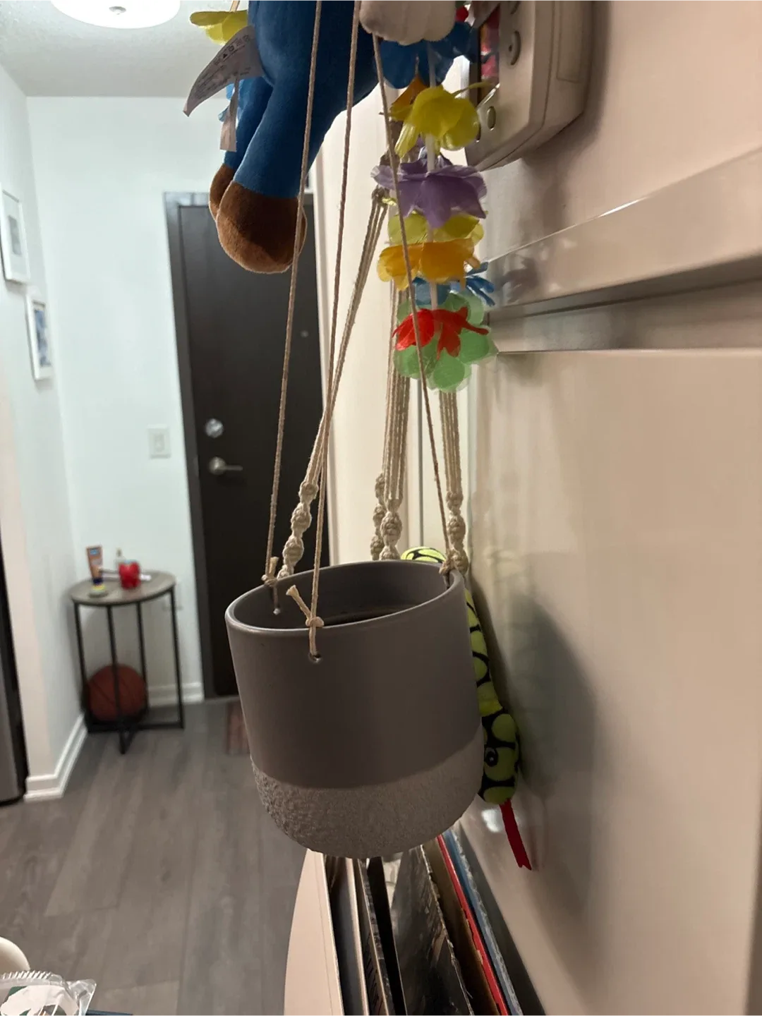 Macrame Plant Hanger with Pots image indicator(2)