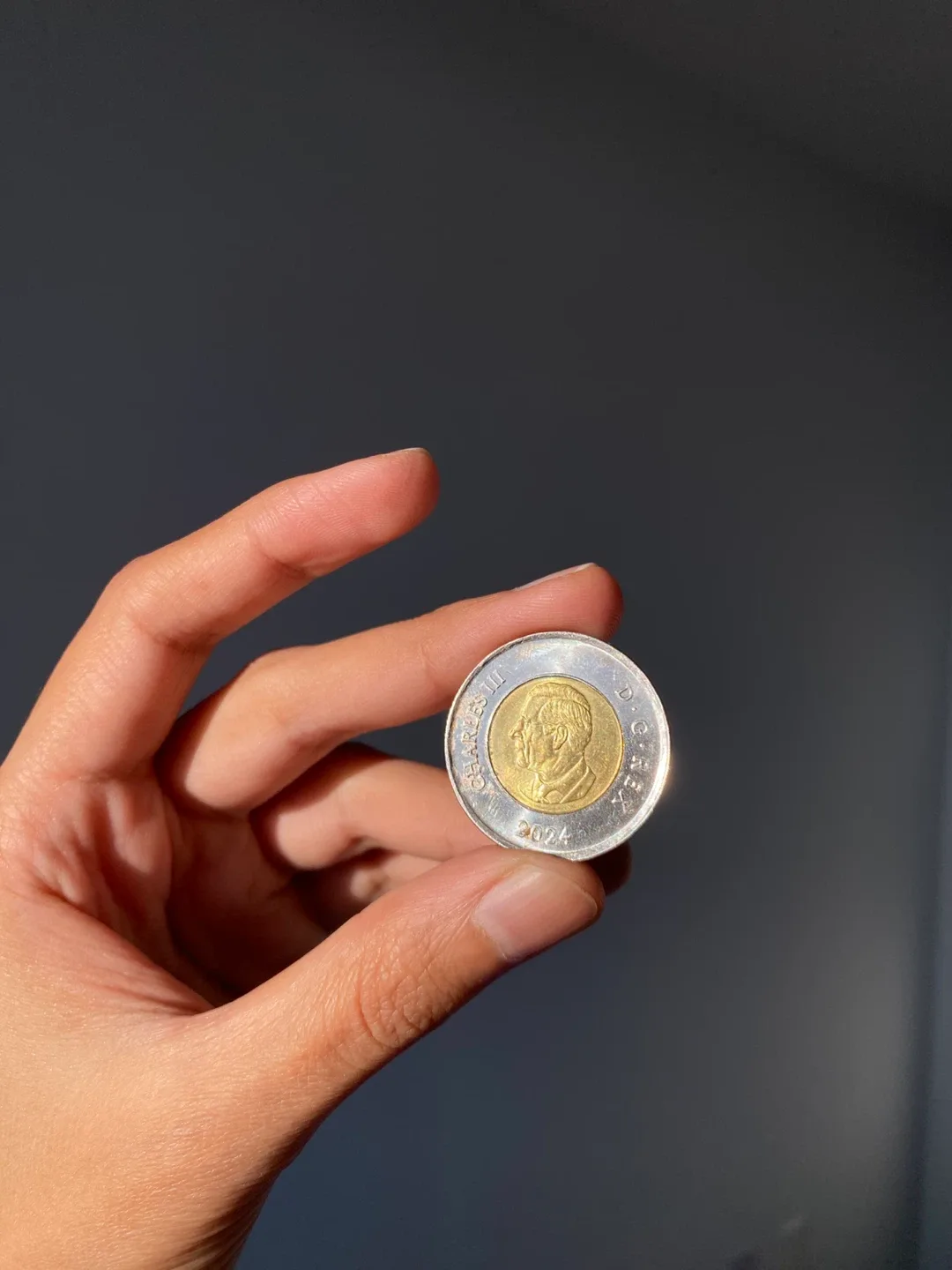 Royal Canadian Air Force 100th Anniversary Toonie image indicator(2)