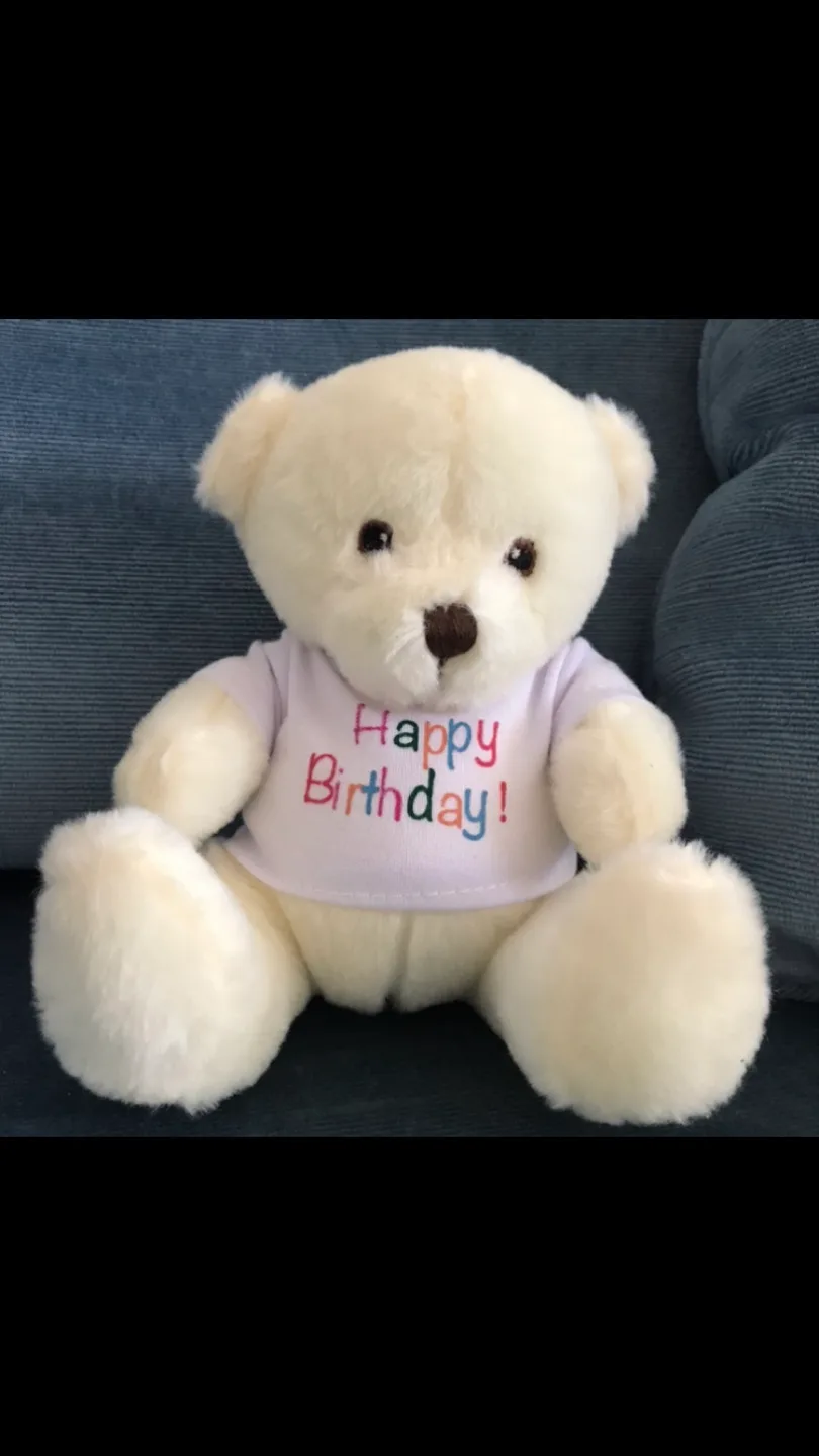 Bday Bear+Famous Kids Book+Cute Sloth Placemat image indicator(3)