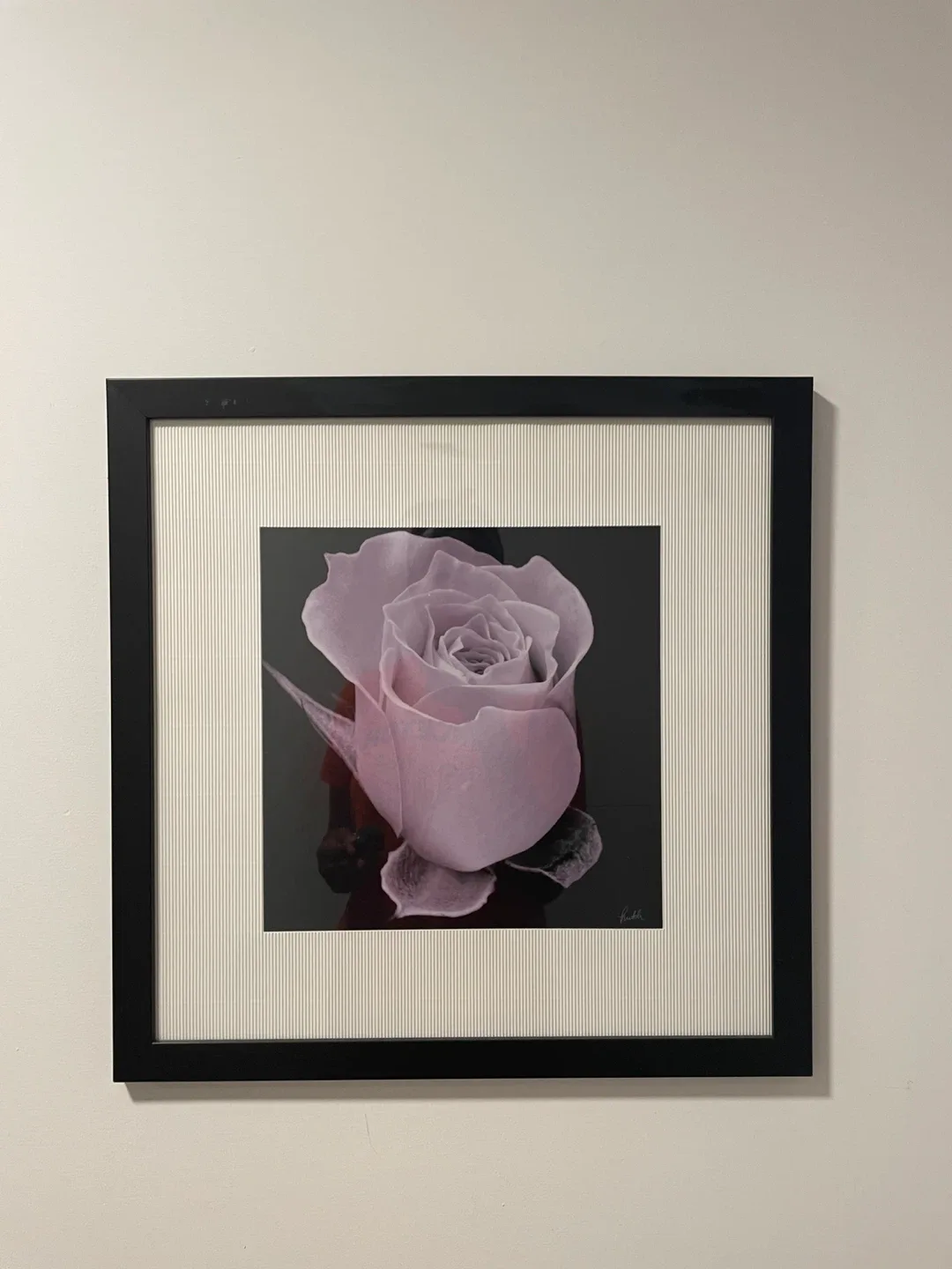 Framed Rose Print thumbnail