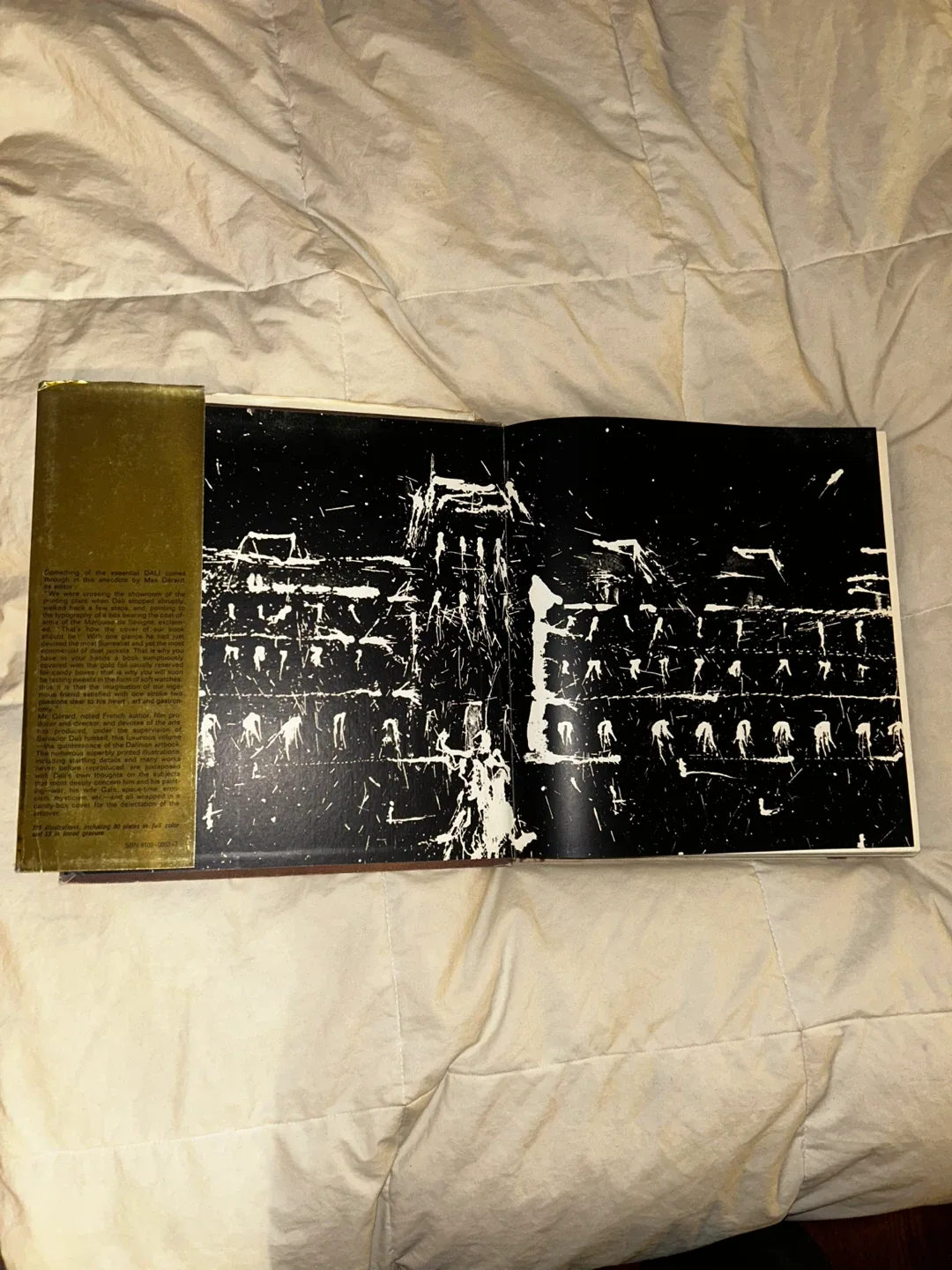 Dali Book image indicator(3)