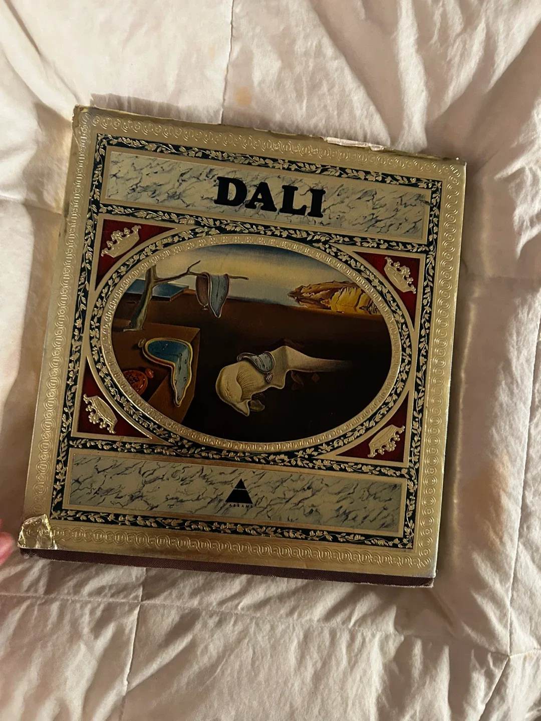 Dali Book image indicator(2)
