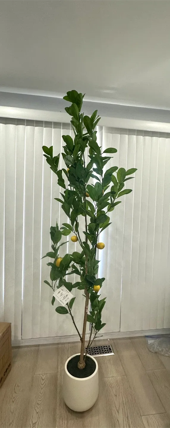 Laiwot Faux Lemon Tree, 7ft image indicator(3)