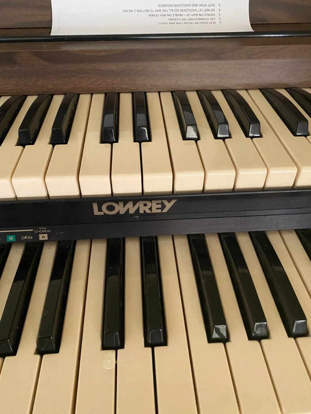 Lowrey Carnival with Magic Genie Series Organ image indicator(2)