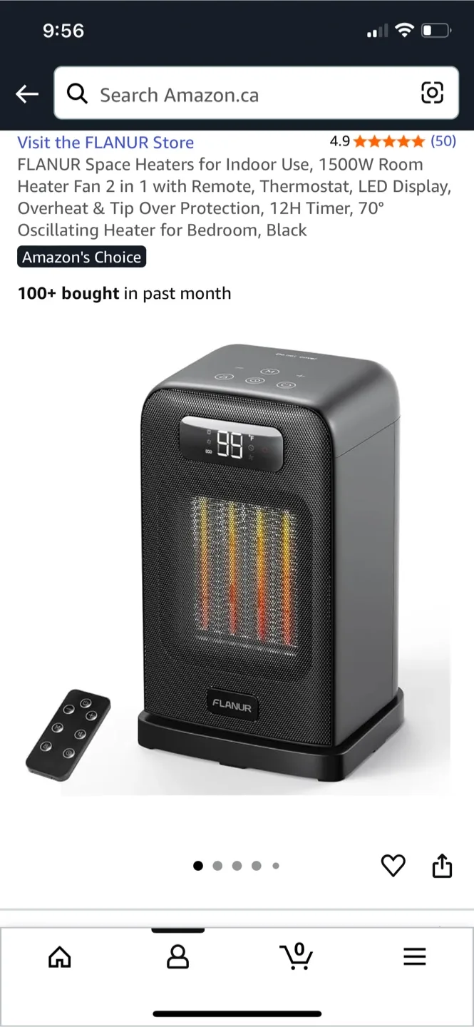 FLANUR 1500W Space Heater - Black