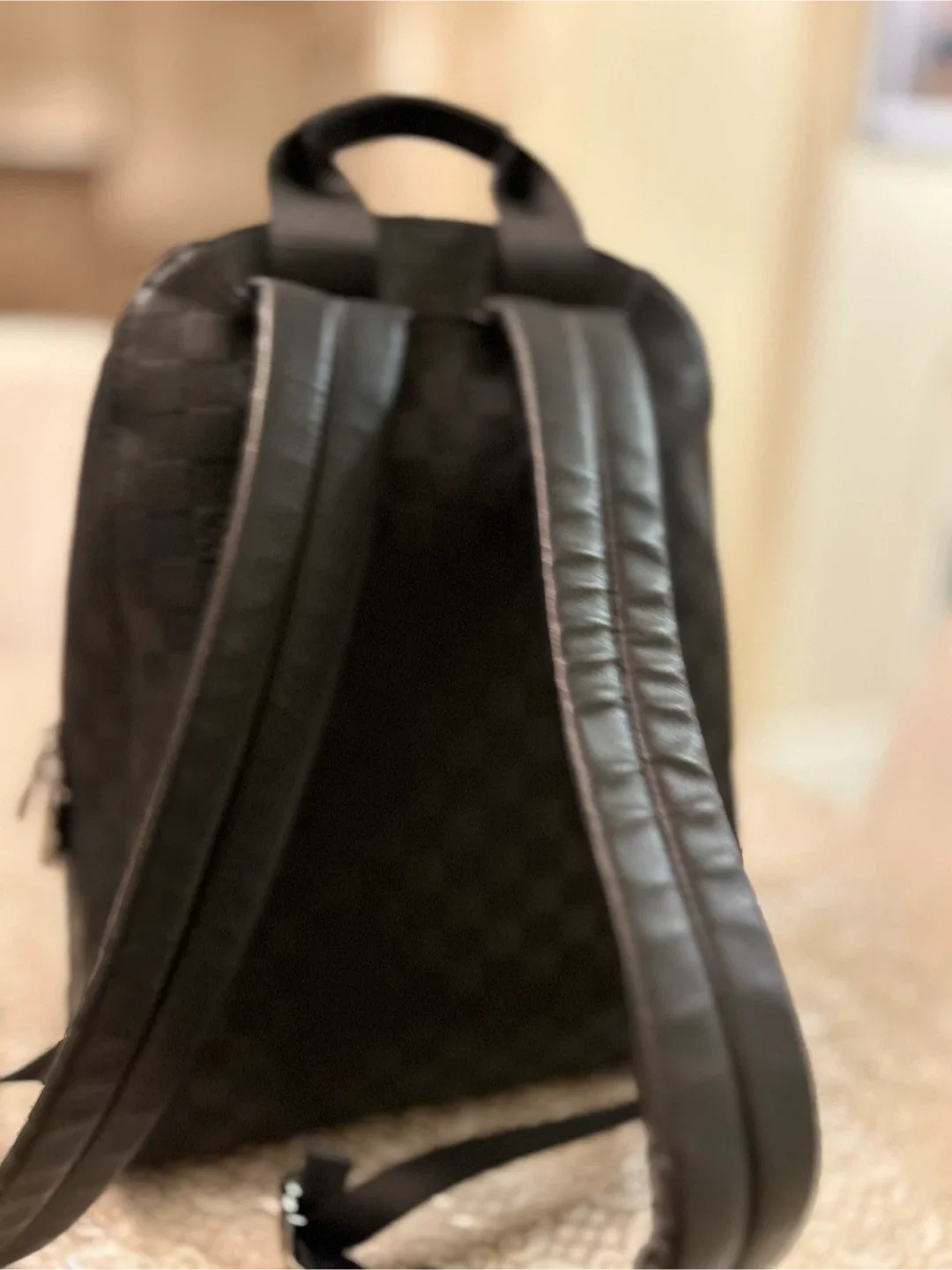 Louis Vuitton Black Backpack image indicator(3)