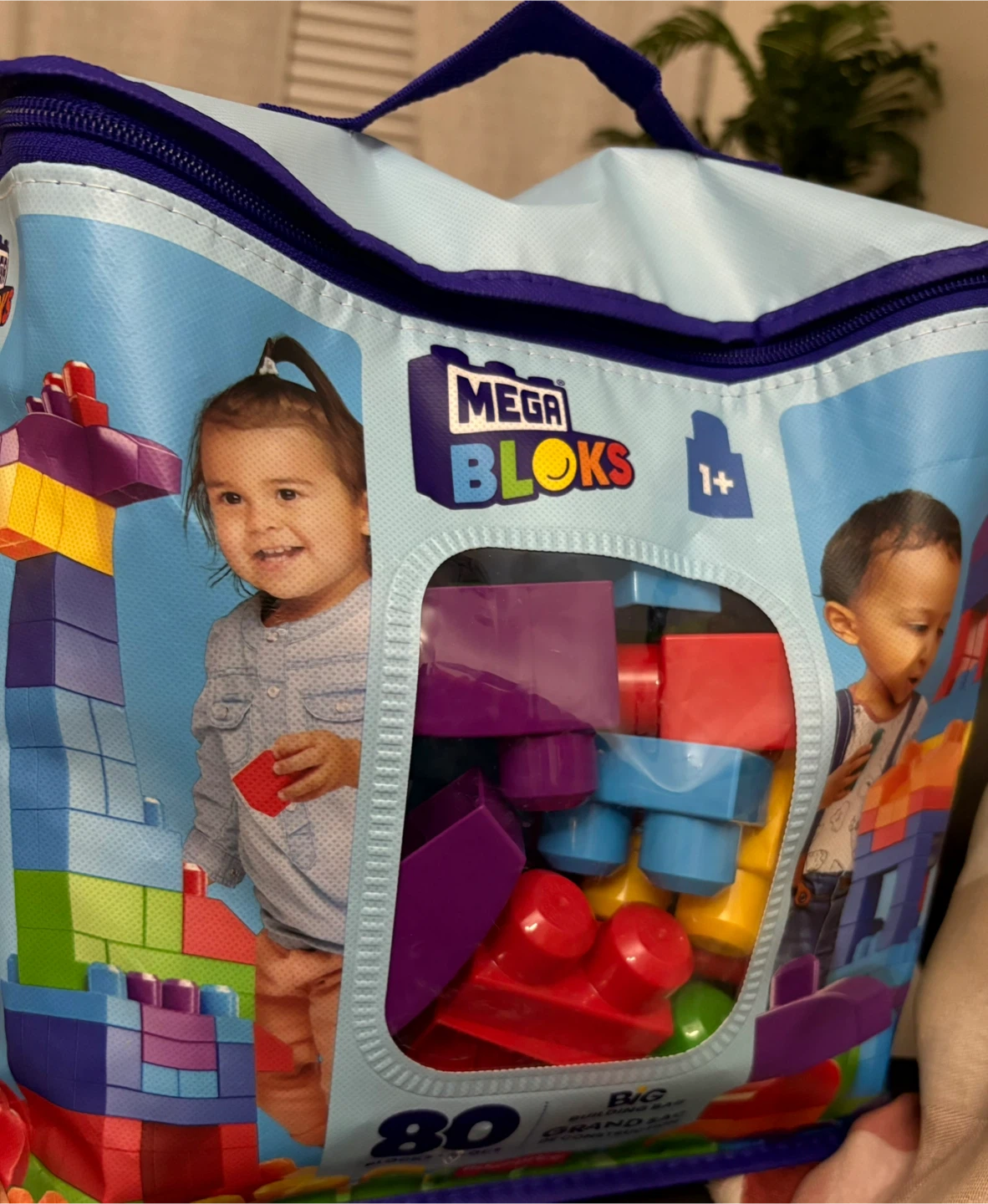 Mega Bloks Big Building Bag - 80 Blocks