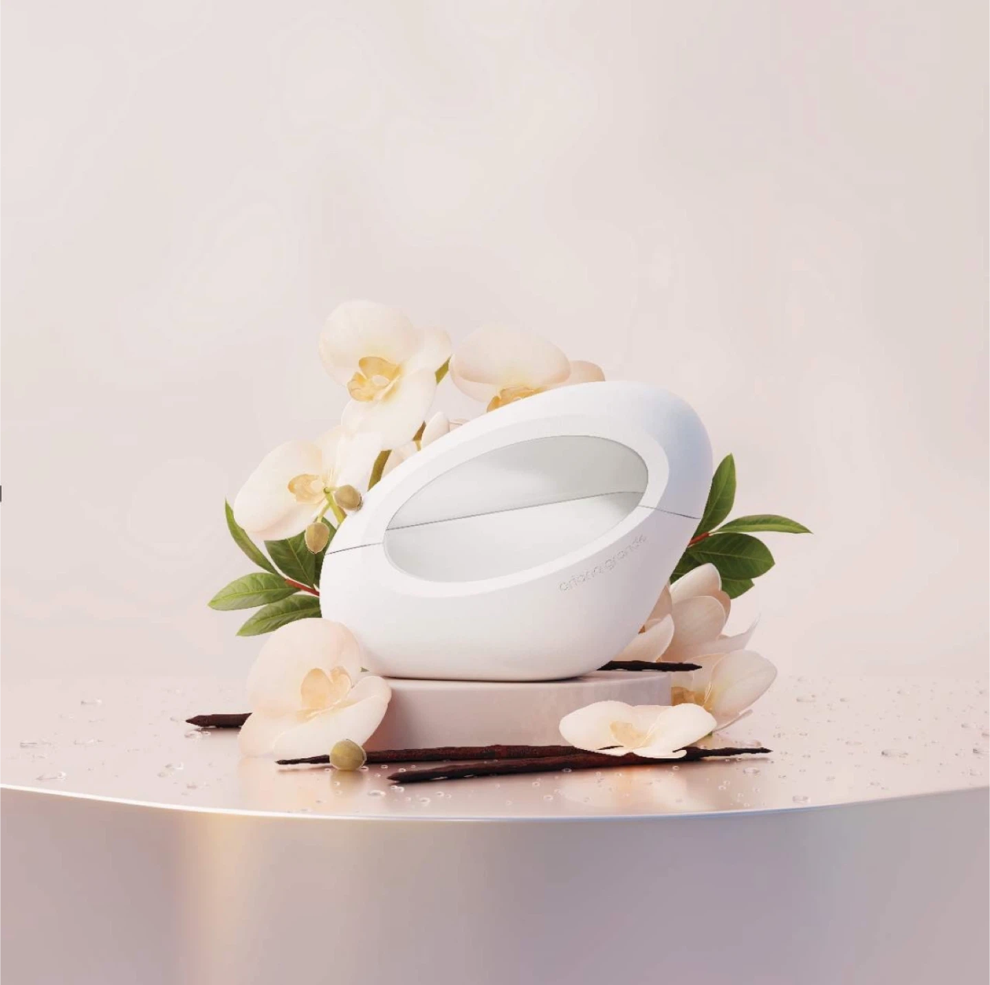 Ariana Grande Mod Vanilla Perfume - photo 2