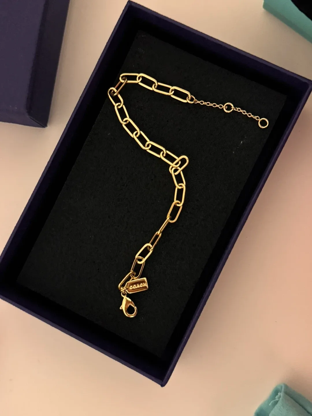 Coach Gold Tone Link Bracelet with Charms image indicator(3)