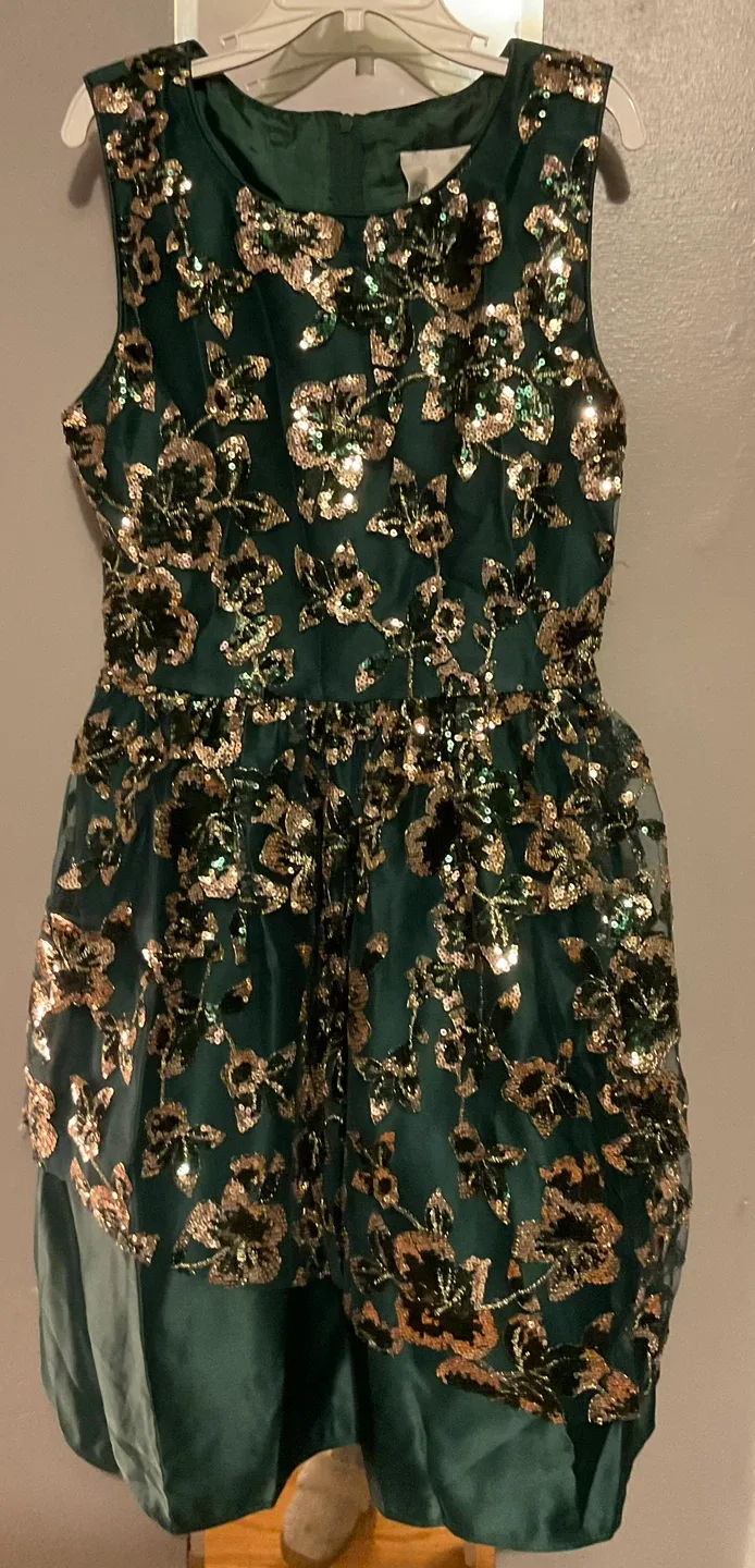 Rare Editions Green Dress Size 10 thumbnail