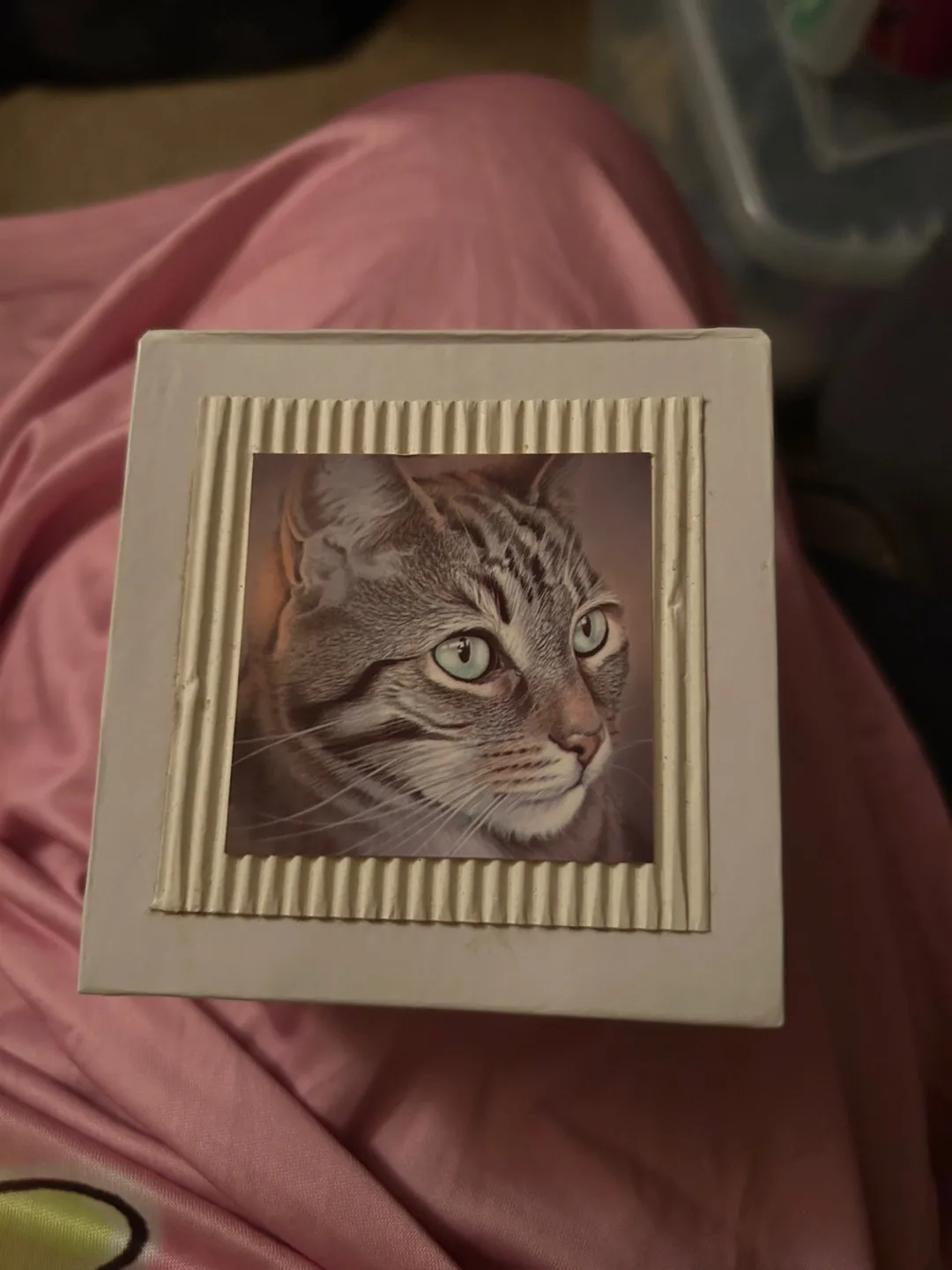 Cat Picture brand new paper