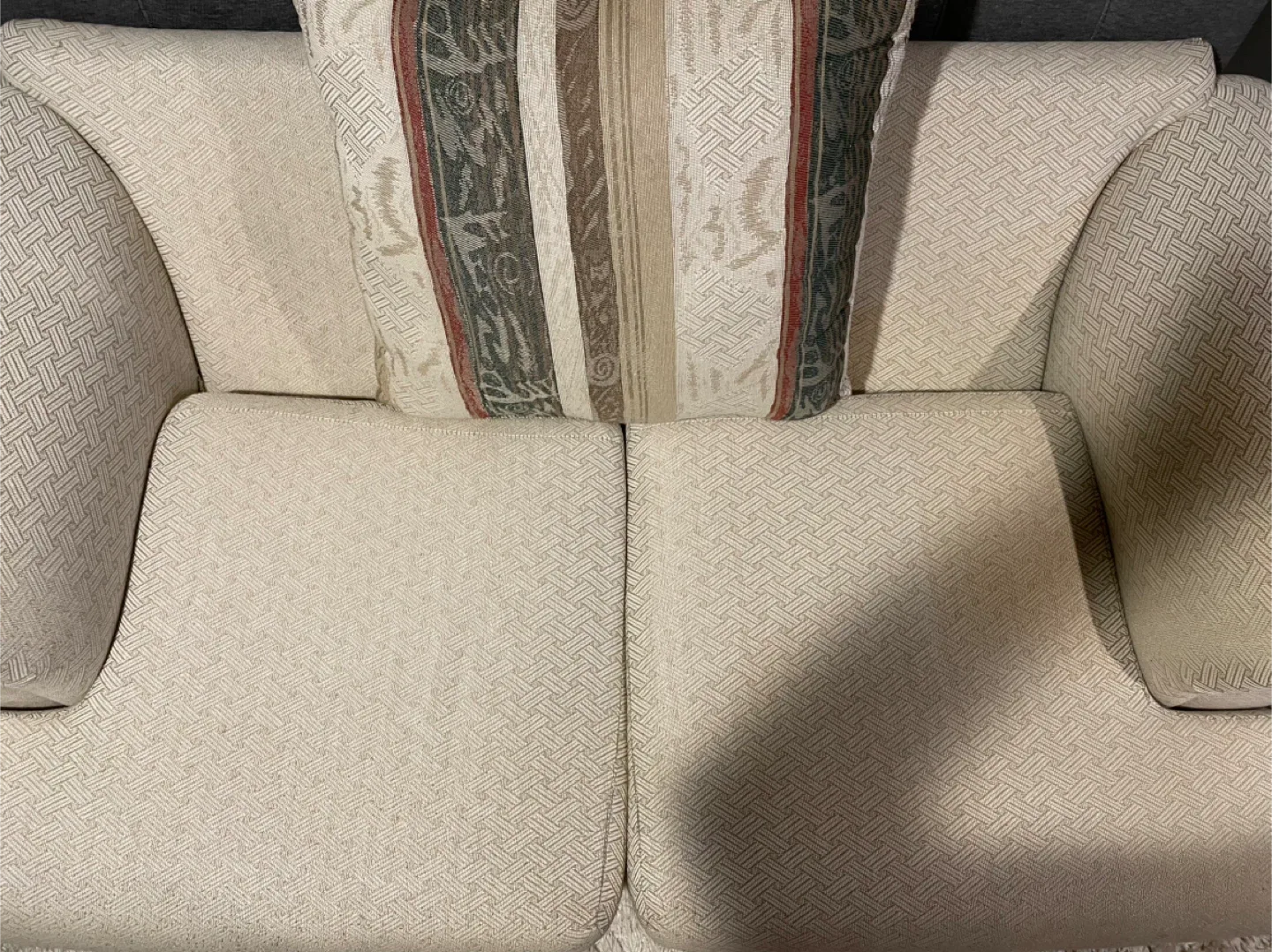 Loveseat Sofa with Cushions image indicator(2)
