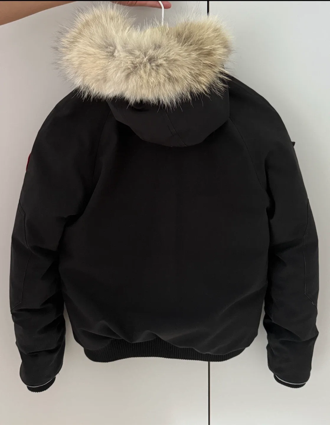 Canada Goose Youth Rundle Bomber Jacket  L/G (14-16) image indicator(4)