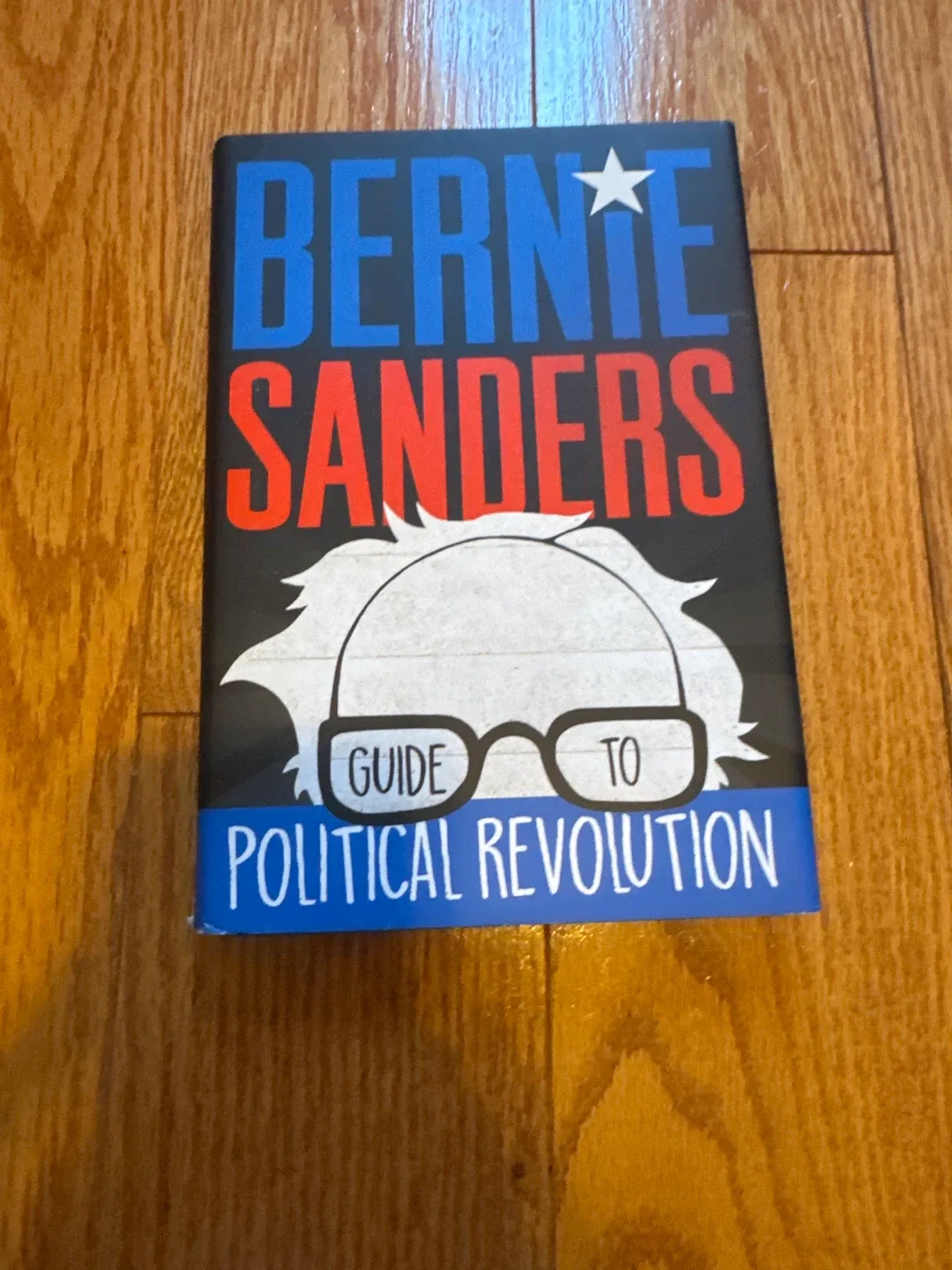 Bernie Sanders Guide to Political Revolution thumbnail