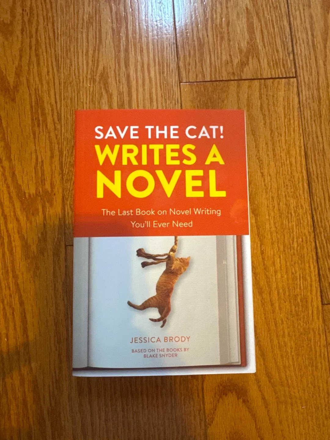 Save the Cat! Writes a Novel by Jessica Brody thumbnail