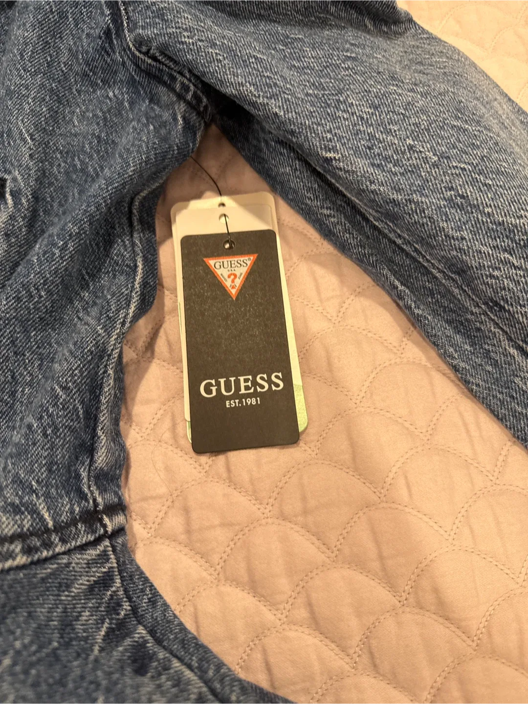 Guess Denim Moto Jacket image indicator(2)