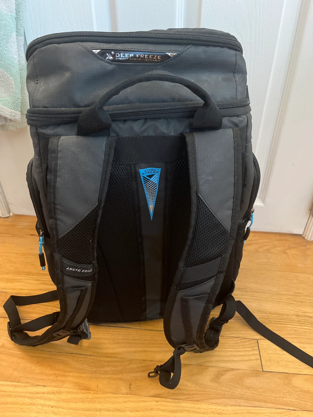 Insulated Back Pack / Sac à dos isolé - photo 4