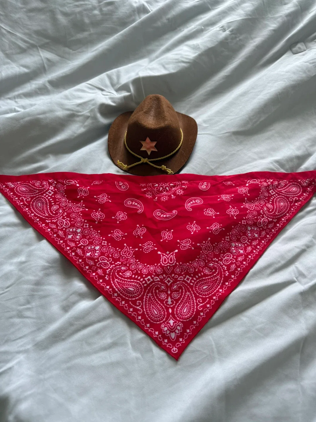Dog Cowboy Hat & Bandana Set - Pet Costume thumbnail