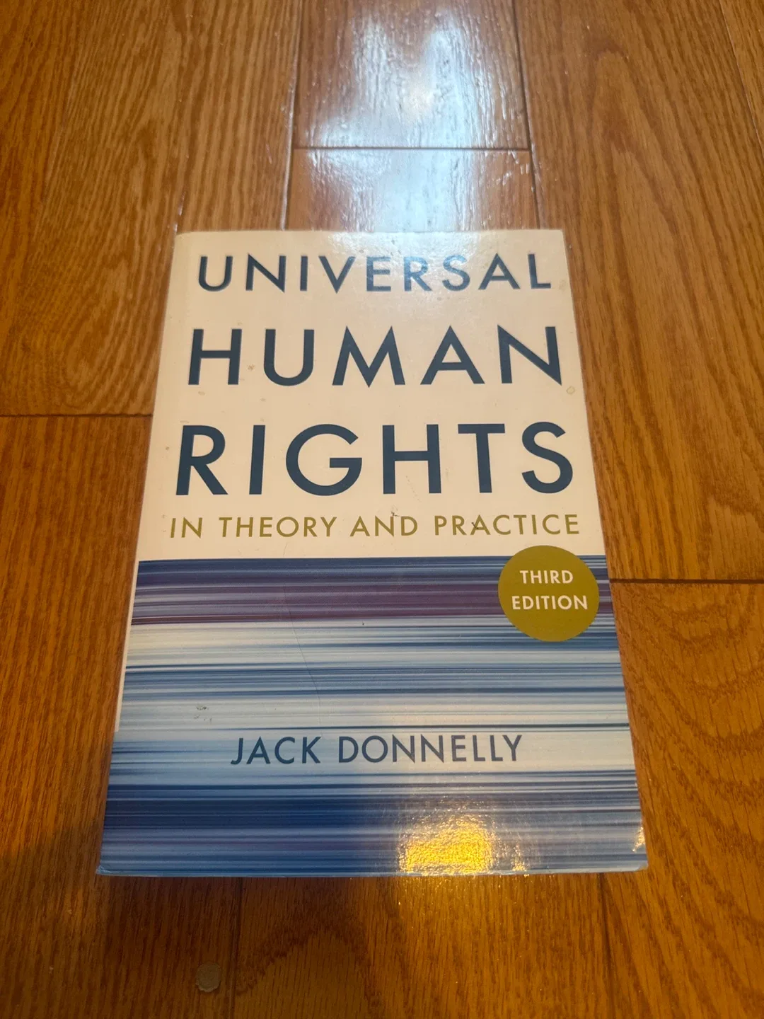 Universal Human Rights by Jack Donnelly thumbnail