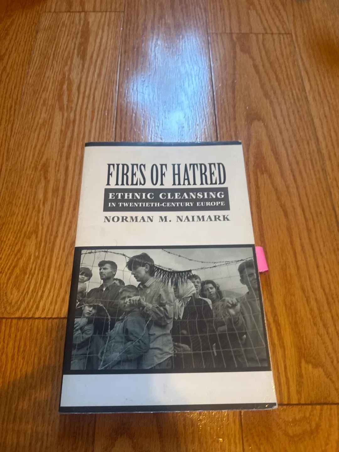Fires of Hatred: Ethnic Cleansing Book by Norman Naimark thumbnail