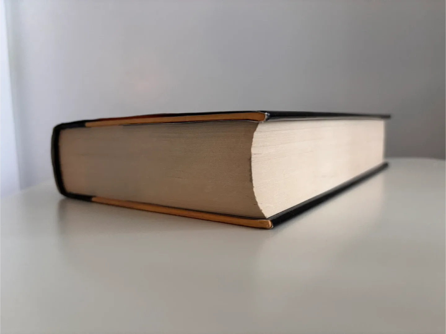 The Host by Stephenie Meyer (First Edition Hardcover) image indicator(4)