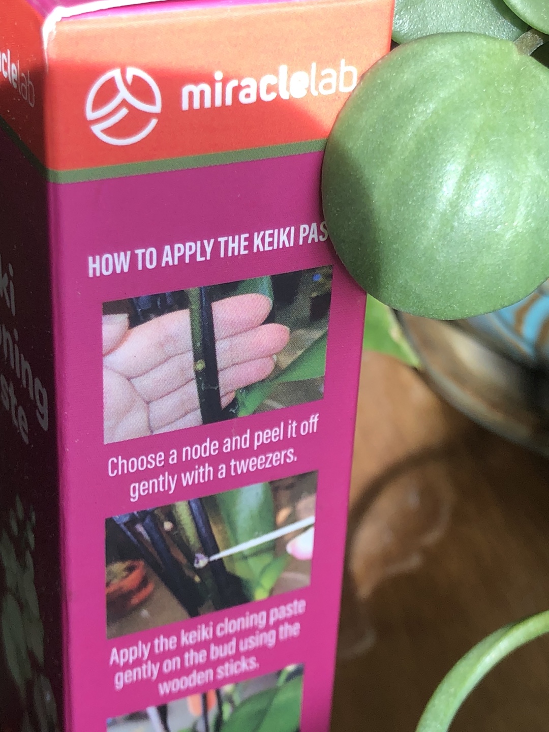 🧡 Miracle Lab Keiki Cloning Paste, Orchids or Tropical Plants - photo 4