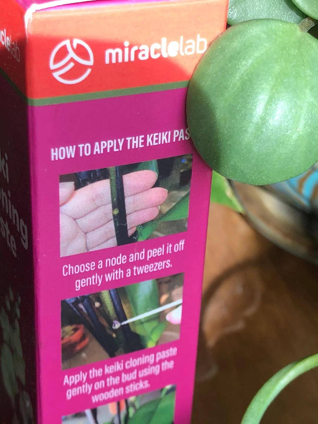 🧡 Miracle Lab Keiki Cloning Paste, Orchids or Tropical Plants image indicator(4)