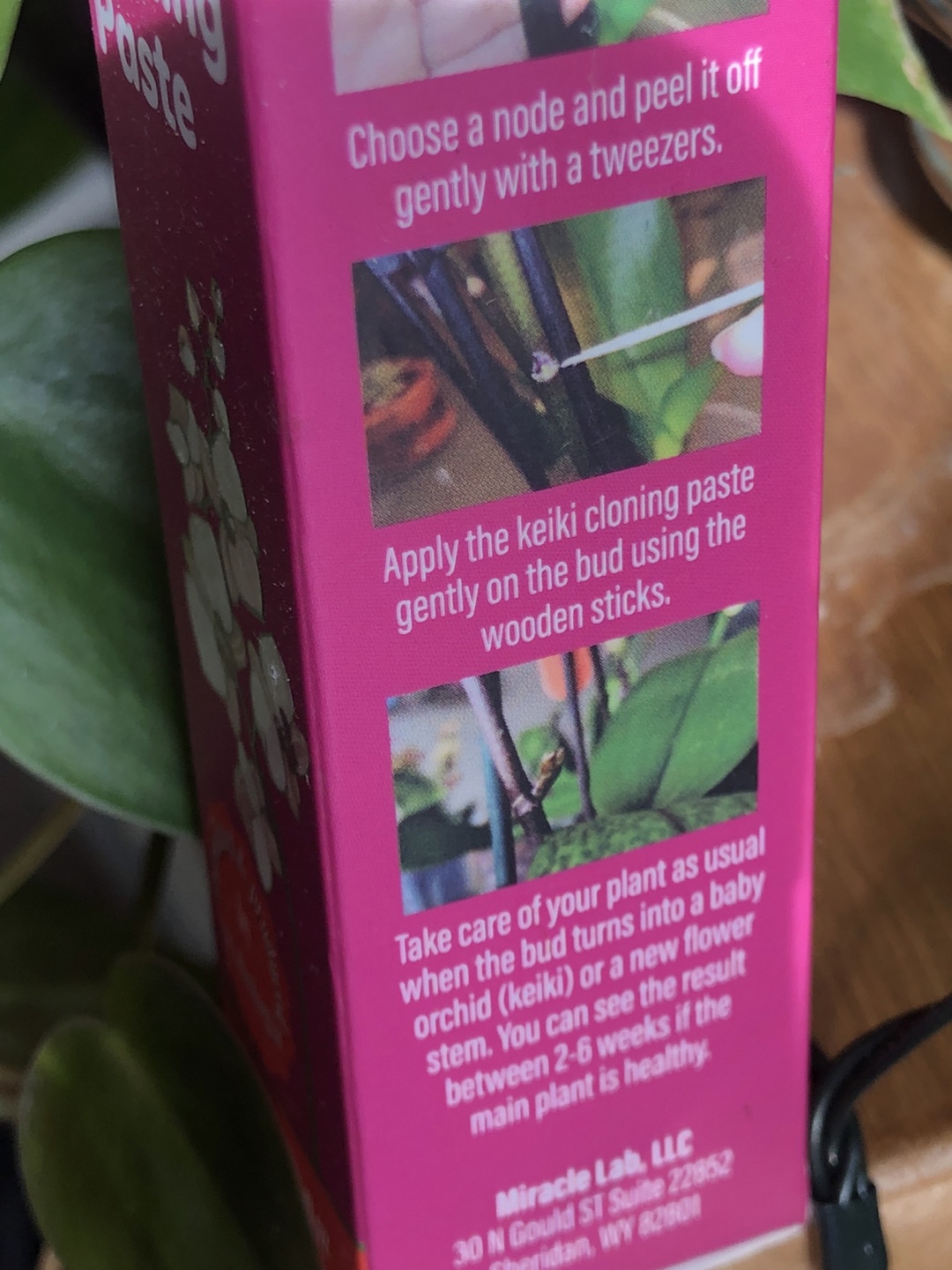 🧡 Miracle Lab Keiki Cloning Paste, Orchids or Tropical Plants - photo 3