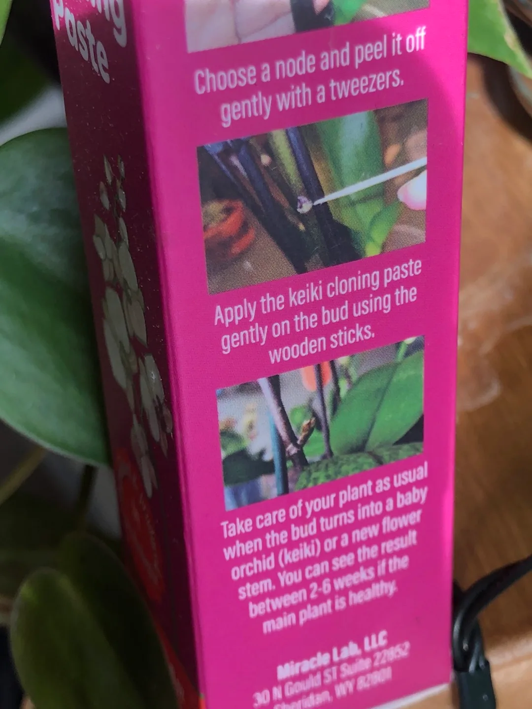 🧡 Miracle Lab Keiki Cloning Paste, Orchids or Tropical Plants image indicator(3)