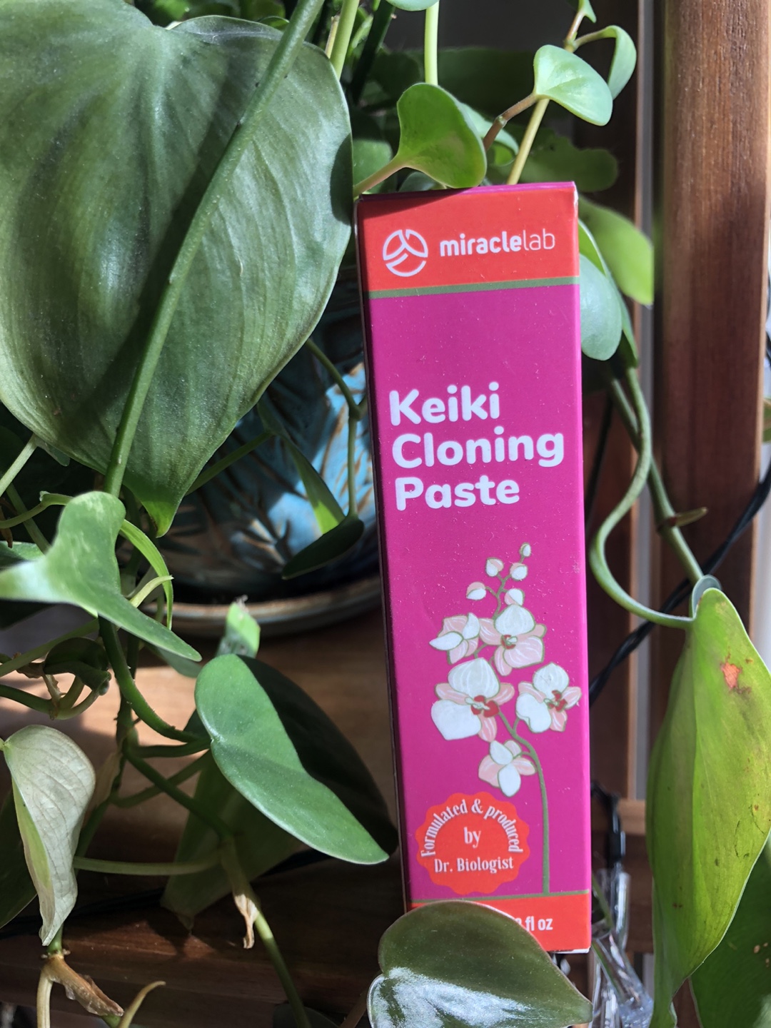 🧡 Miracle Lab Keiki Cloning Paste, Orchids or Tropical Plants - photo 5