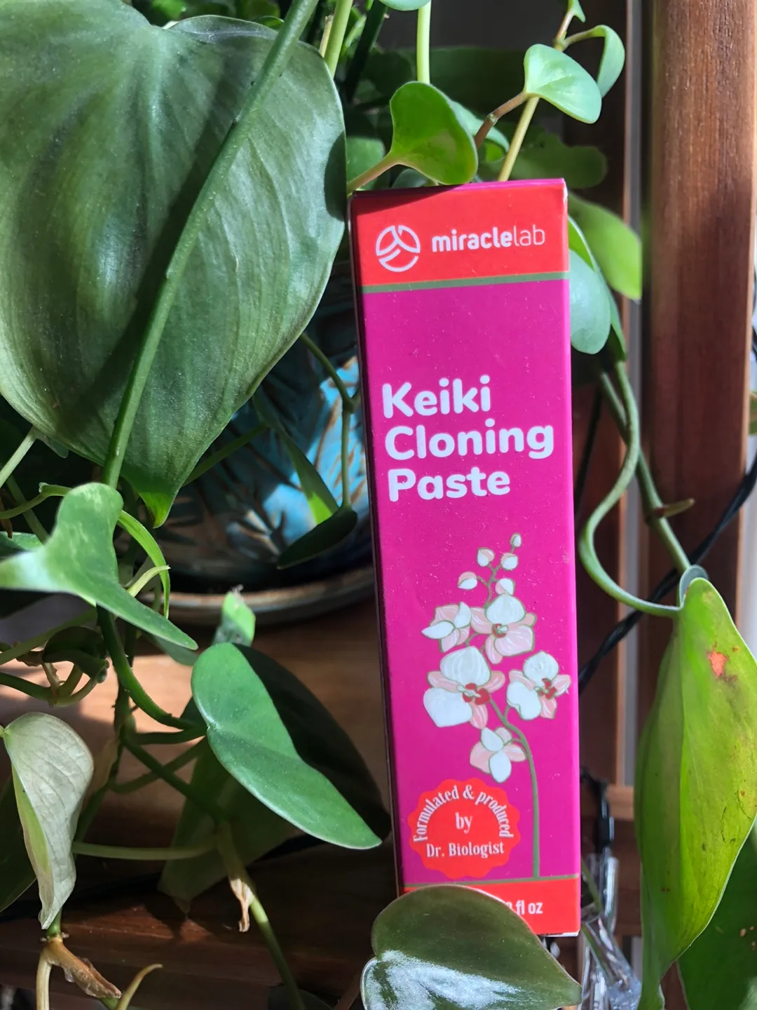 🧡 Miracle Lab Keiki Cloning Paste, Orchids or Tropical Plants image indicator(5)