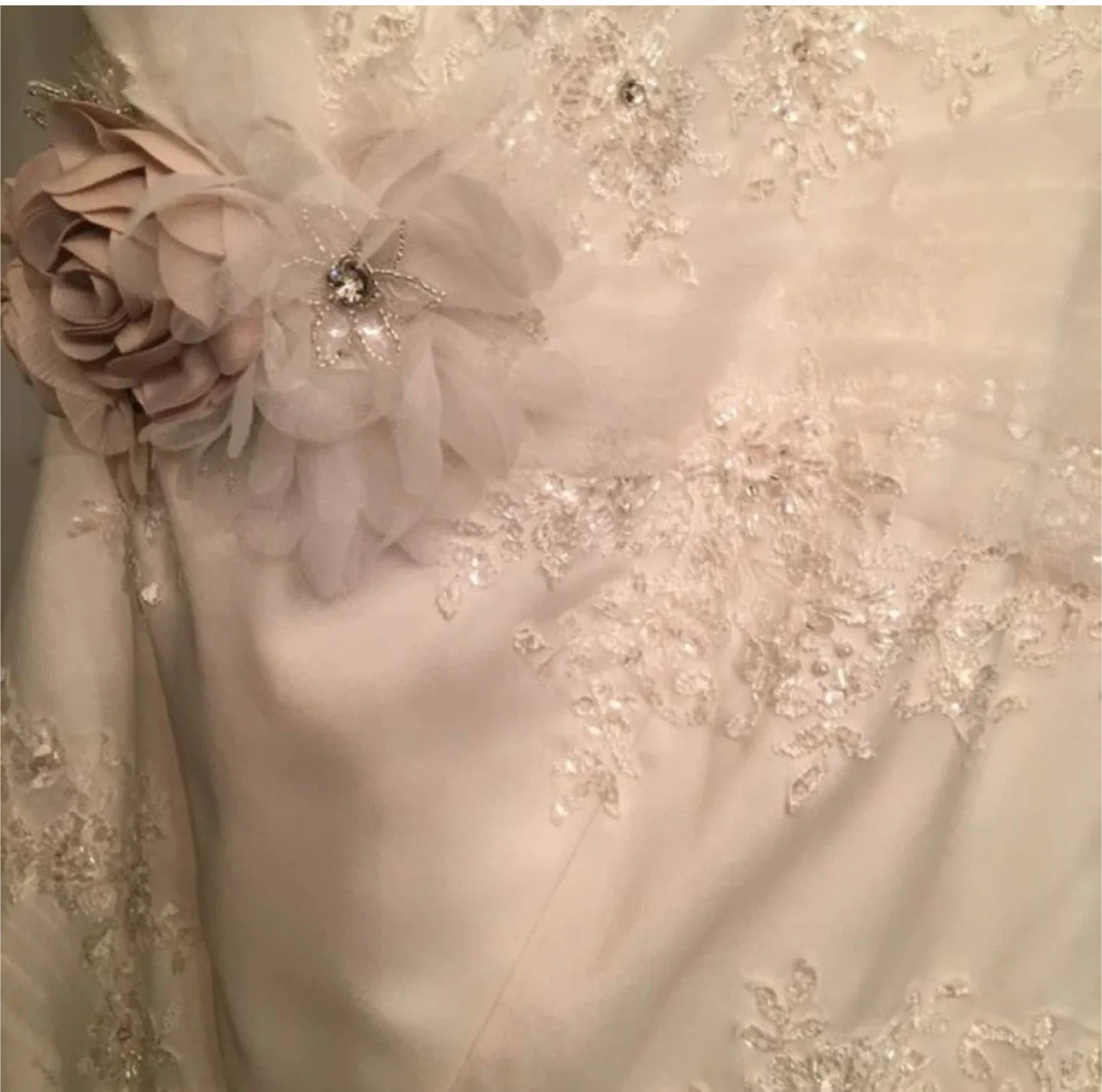 Zac Posen Wedding Dress Size 18W image indicator(5)