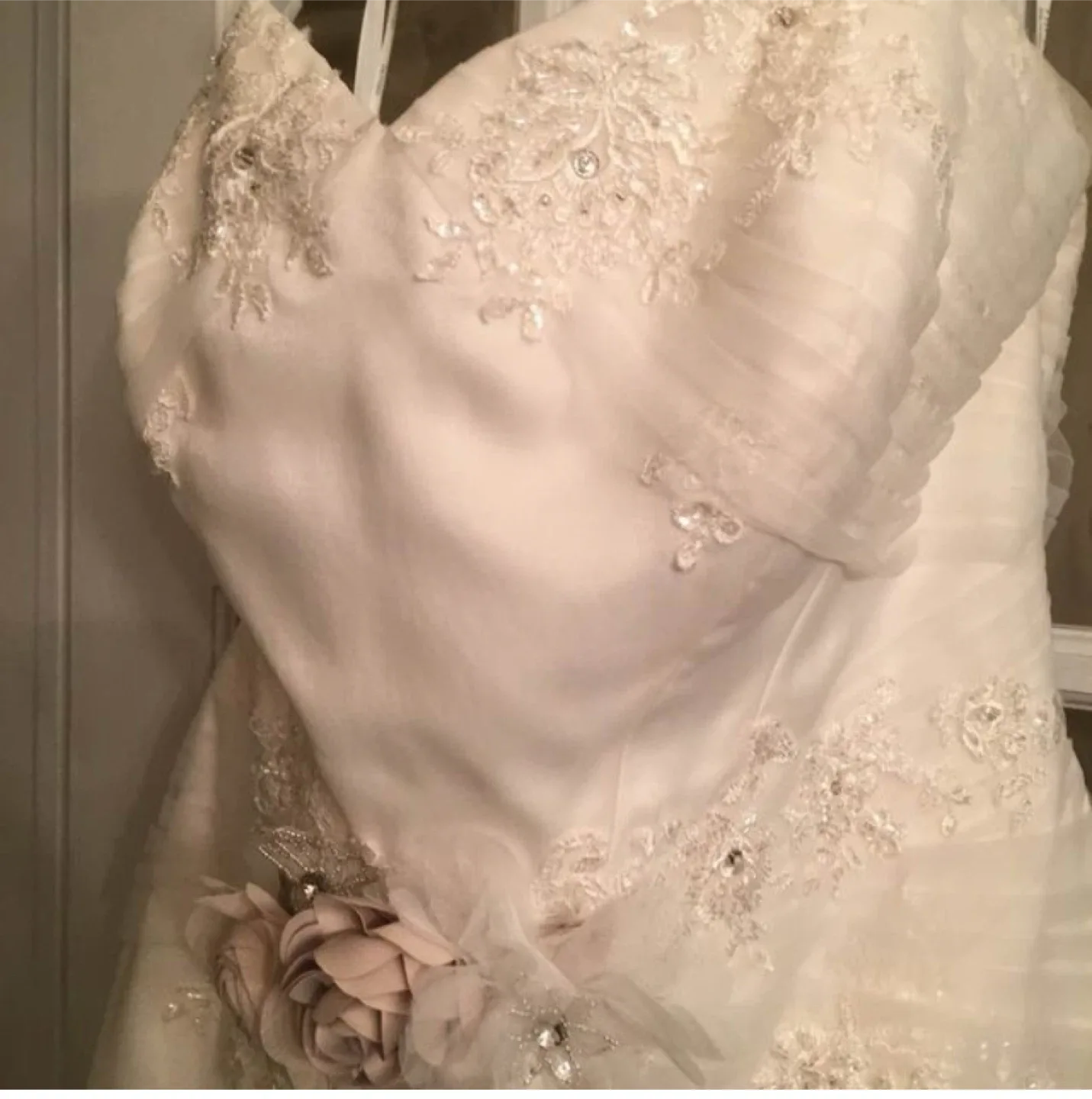 Zac Posen Wedding Dress Size 18W image indicator(4)