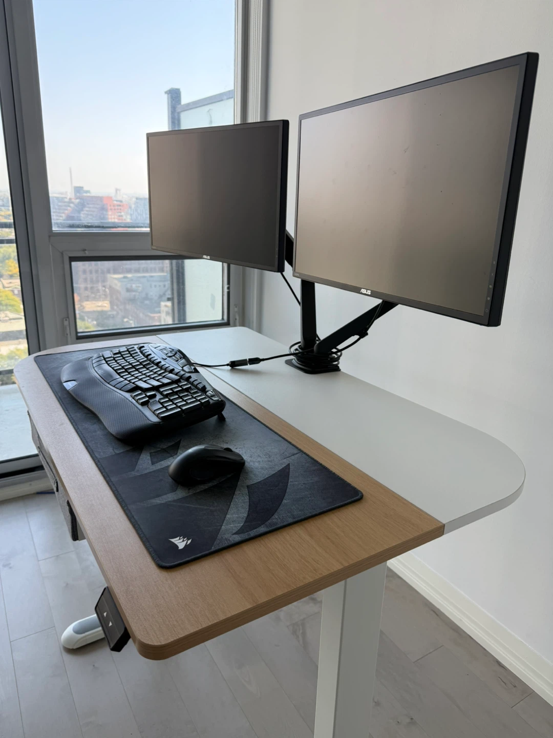 Dual Monitors and Accessories