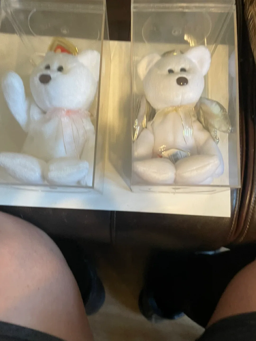 Ty Beanie Baby Angel Bears in Cases image indicator(2)