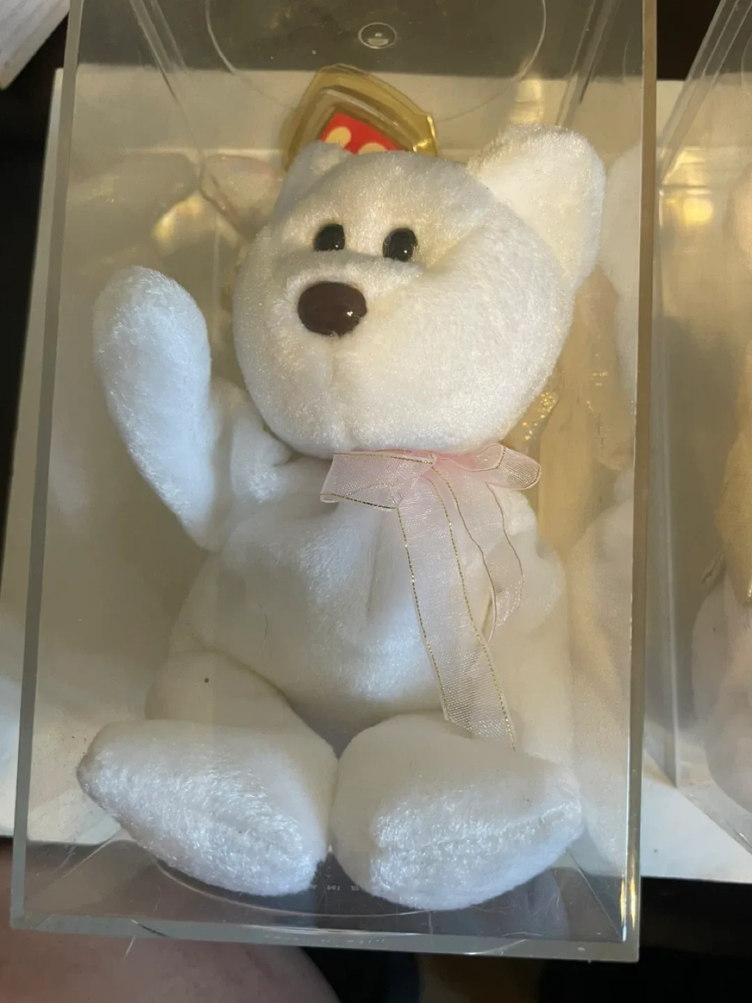Ty Beanie Baby Angel Bears in Cases image indicator(3)