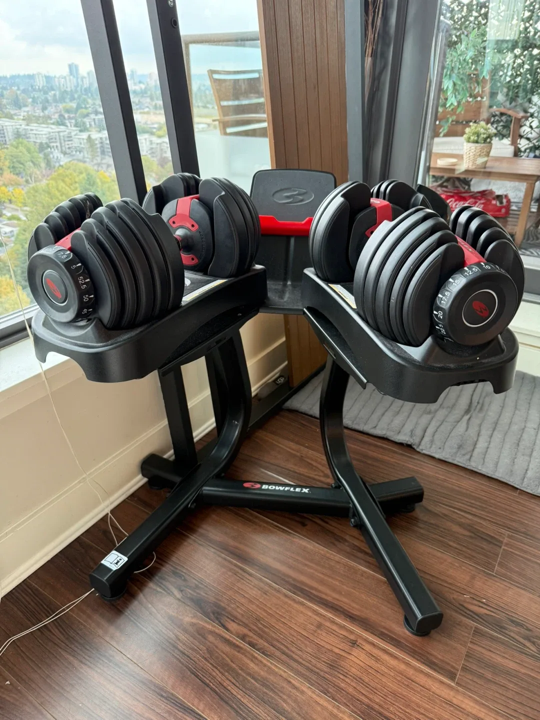 Bowflex SelectTech 552 Dumbbells with Stand image indicator(2)