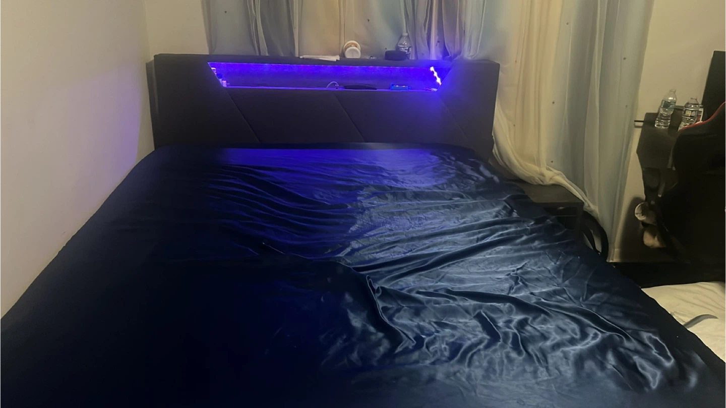 Queen Bed Frame with LED Light
