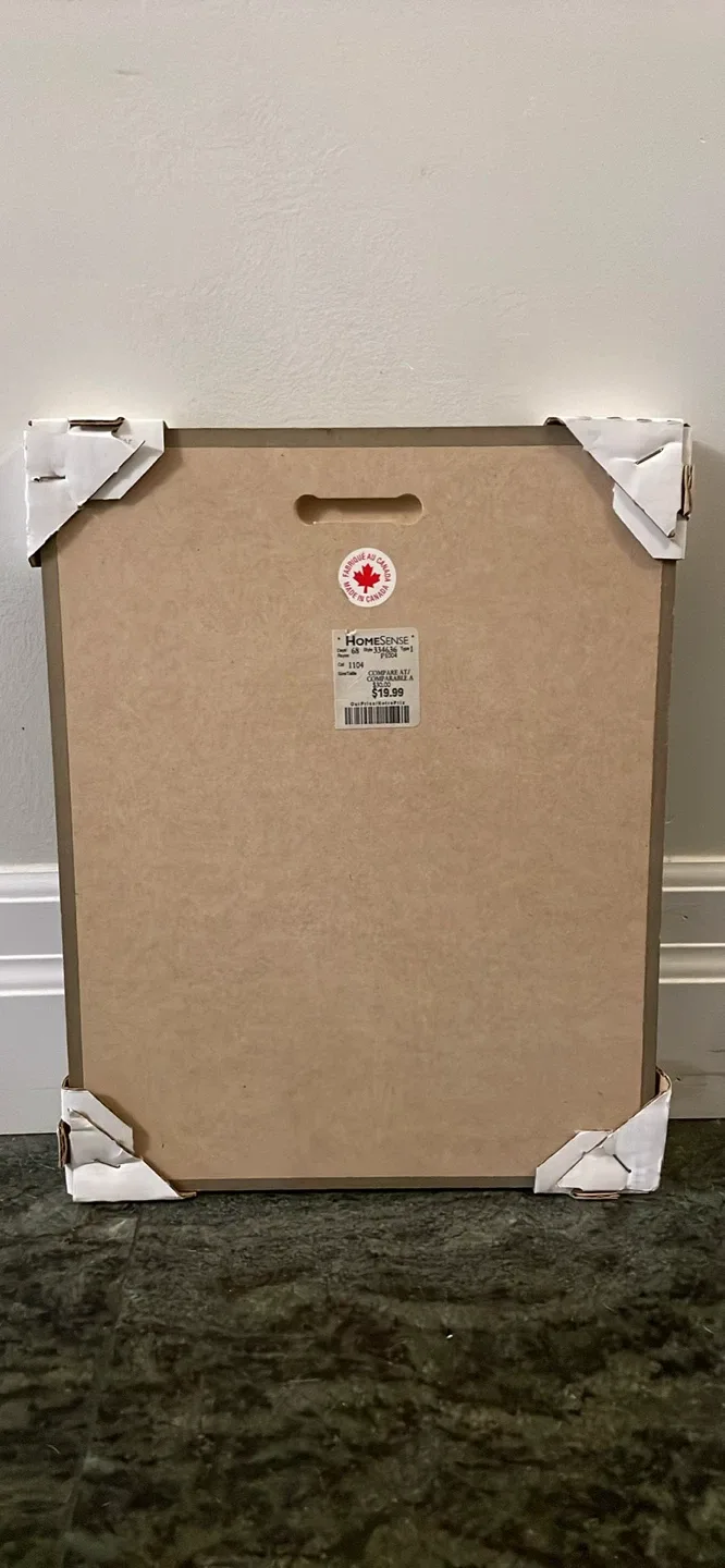 *NEW* HomeSense Decor Wall Art image indicator(2)