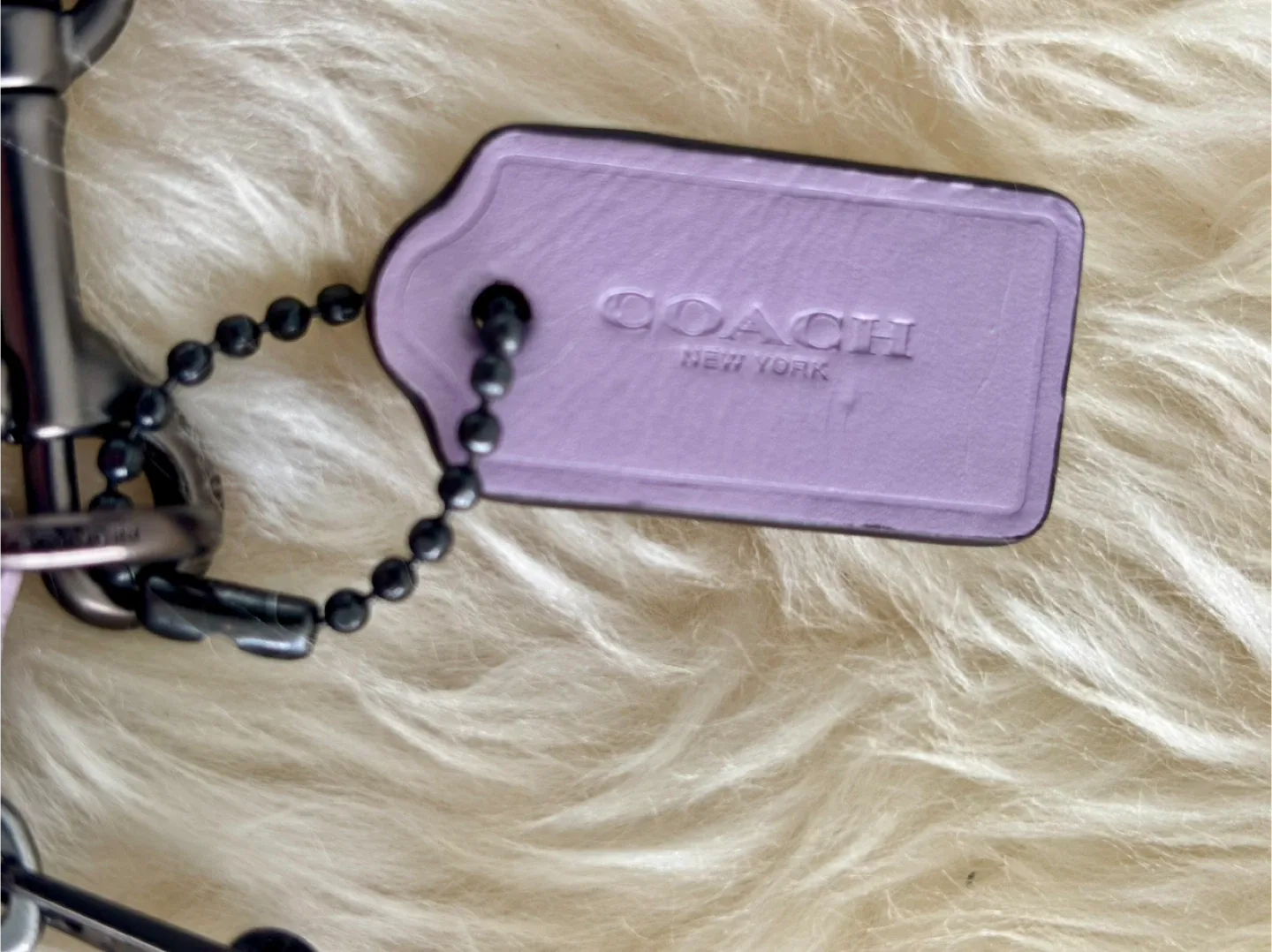 Coach Floral Print Wristlet image indicator(2)