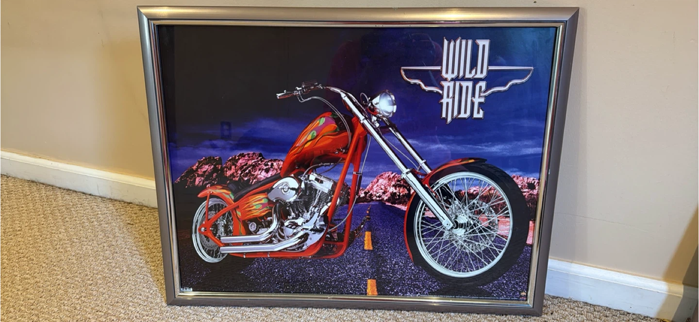 Framed Wild Ride & Hot Rides Posters - photo 2